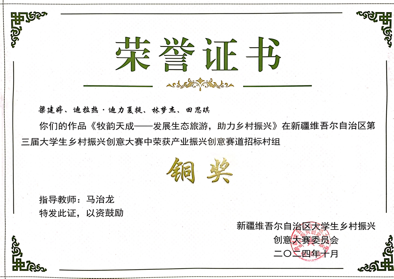 大学生乡村振兴创新大赛铜奖